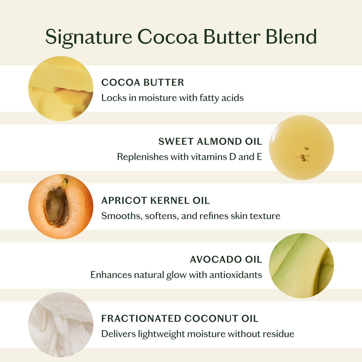Kate McLeod - Palo Santo & Vetiver | Deep Moisturizing Lotion Bar
