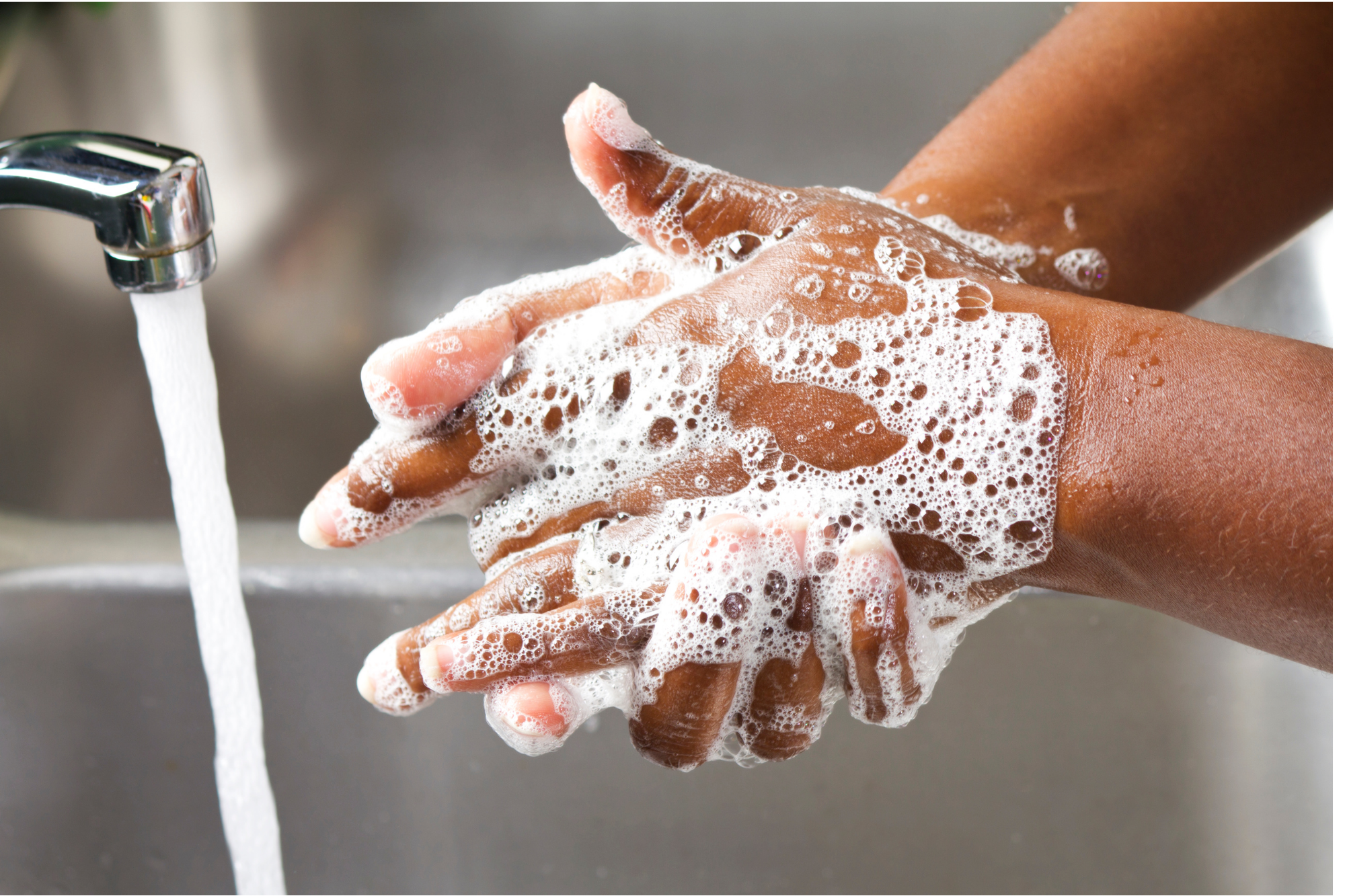 Q. Co Aroma Company - TEAK FOAMING HAND SOAP