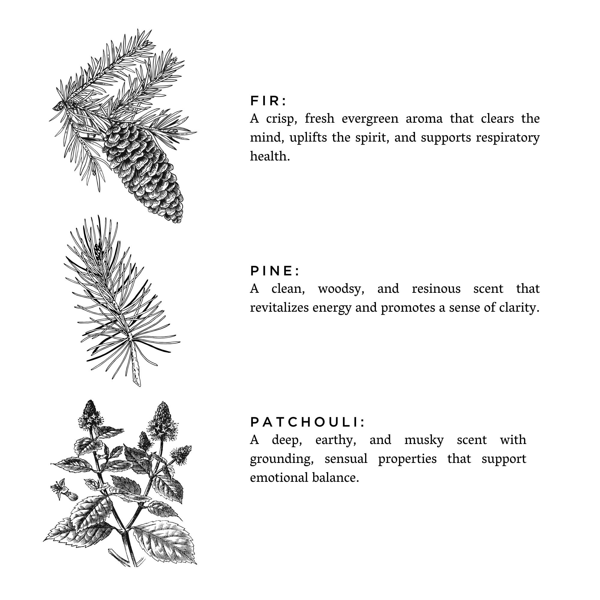 Slow North - Forest Bathing - Non-Toxic Candle - Spring Gift
