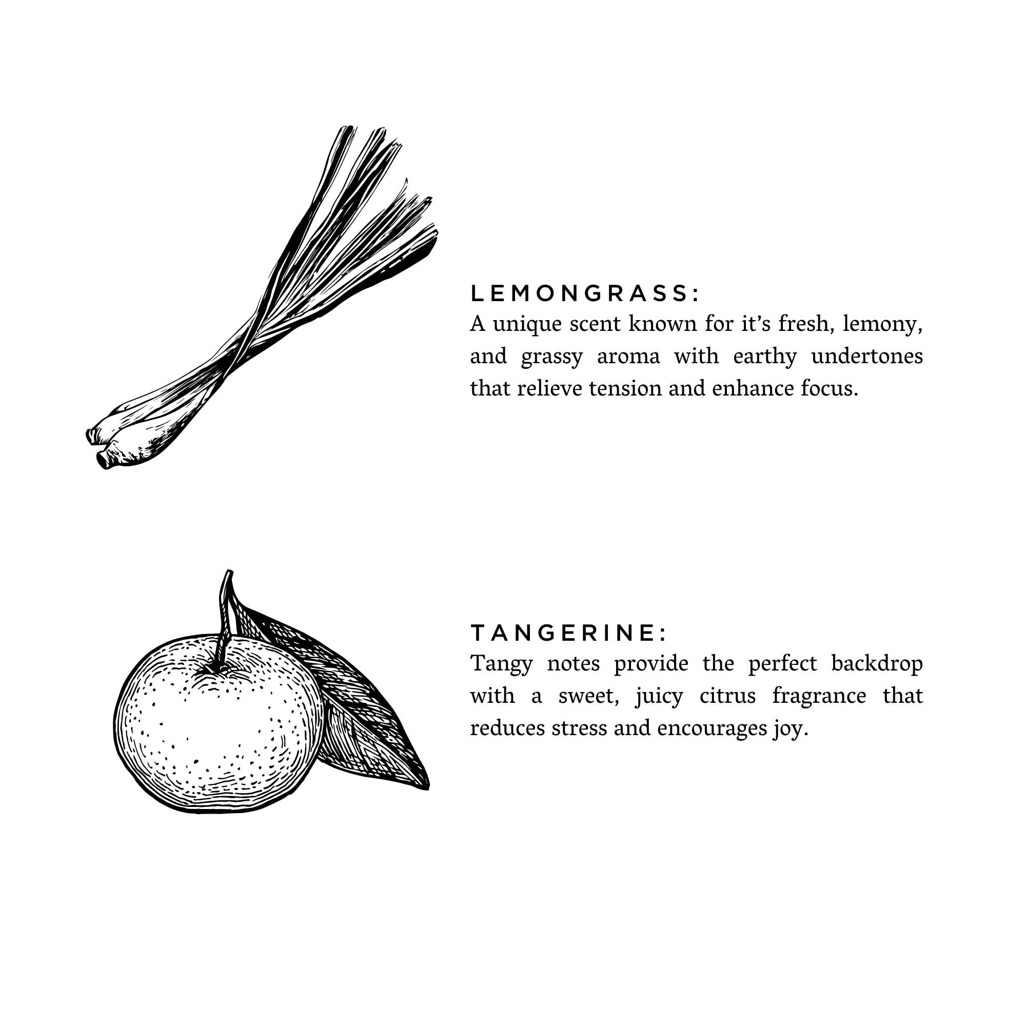 Slow North - Lemongrass + Tangerine - Non-Toxic Candle, Essential Oils