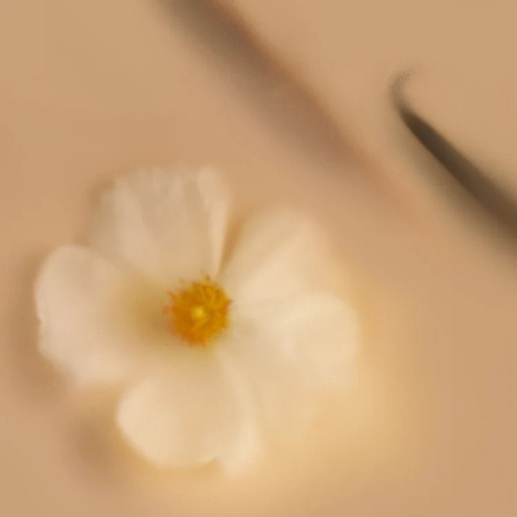 Belnu Chai Fleur Eau de Parfum - The Look and Co