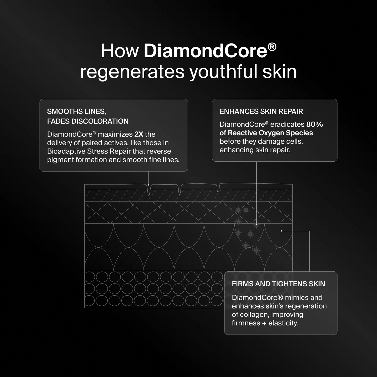 Bioadapitive Stress Repair Refille - The Look and Co