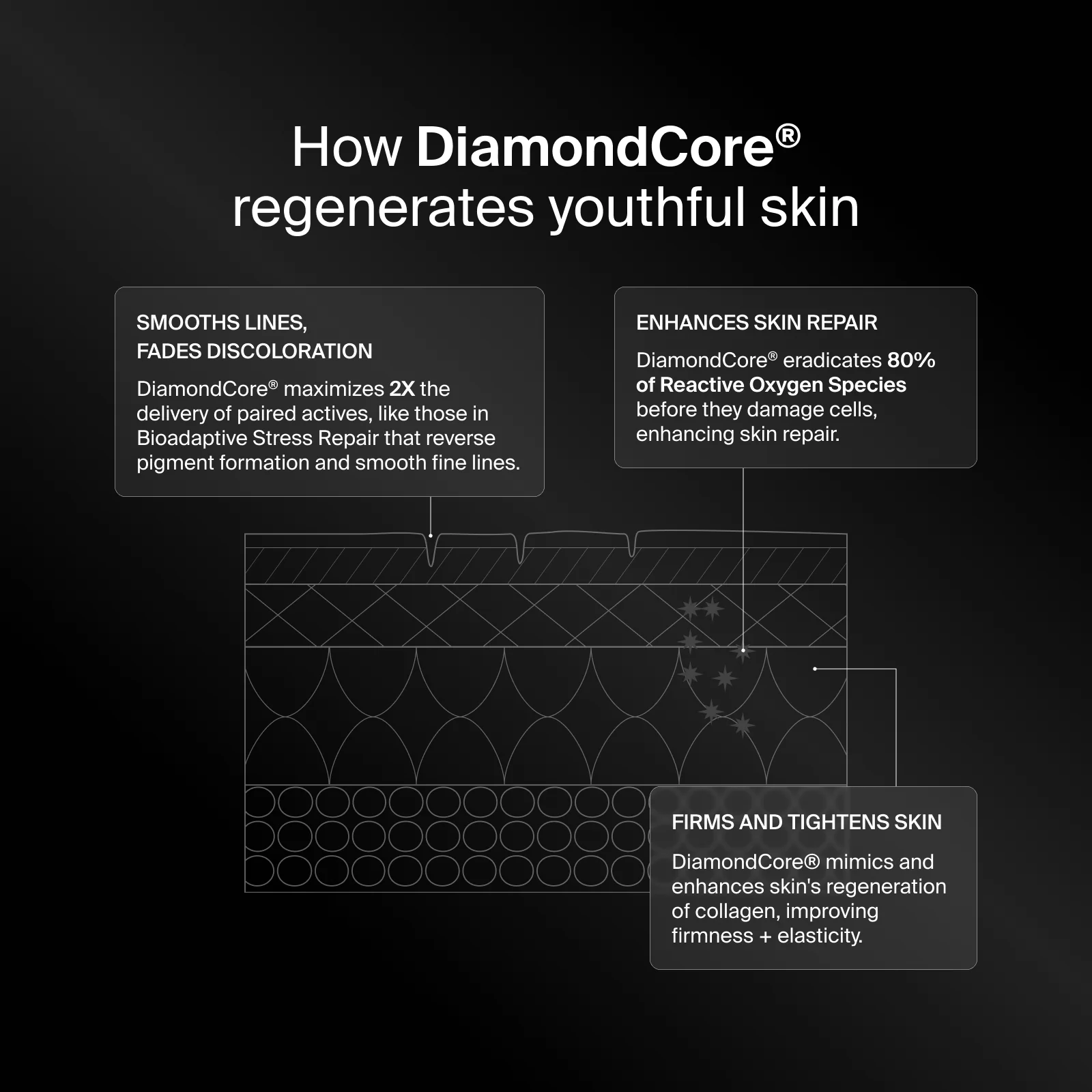 Bioadapitive Stress Repair Refille - The Look and Co