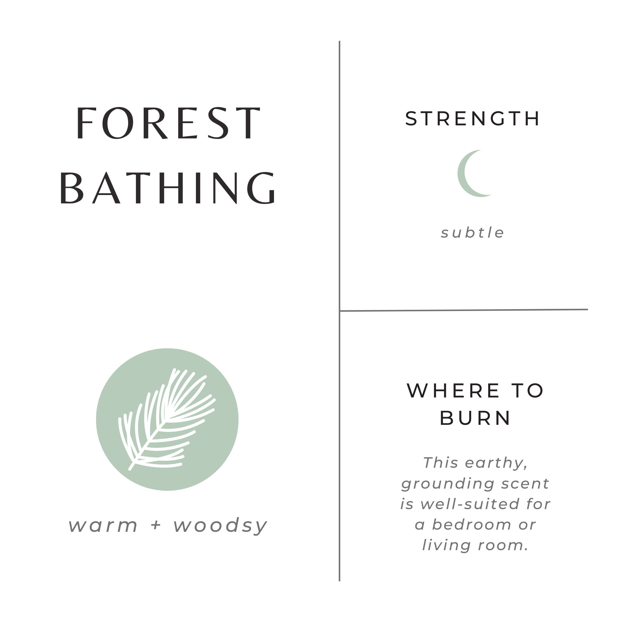 Slow North - Forest Bathing - Non-Toxic Candle - Spring Gift
