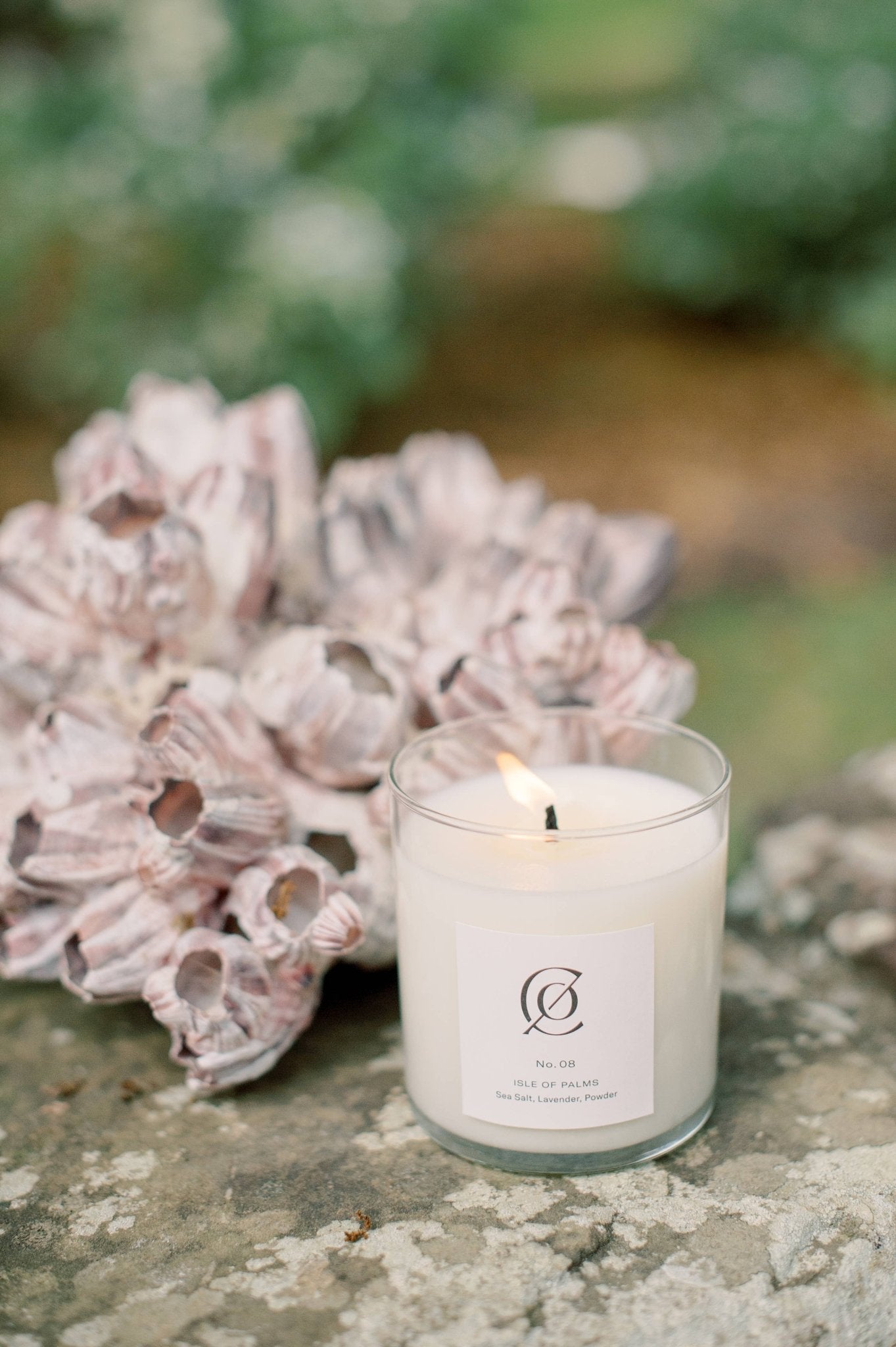 Charleston Candle Co. - No. 08 Isle of Palms Soy Candle - The Look and Co