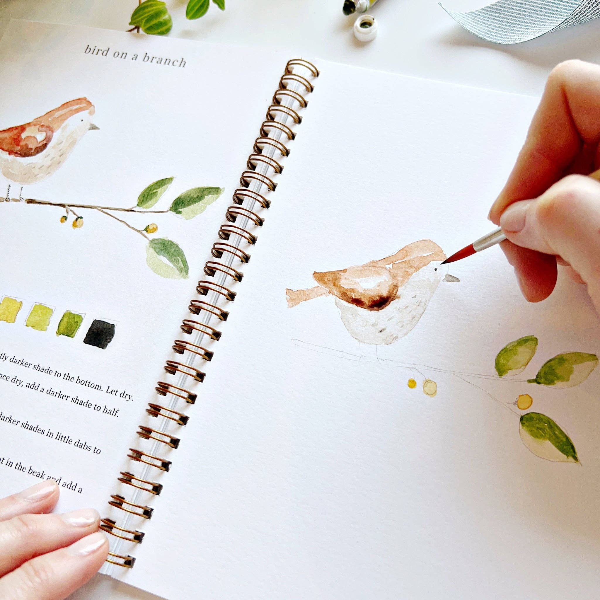 emily lex studio - Animals watercolor workbook - The Look and Co