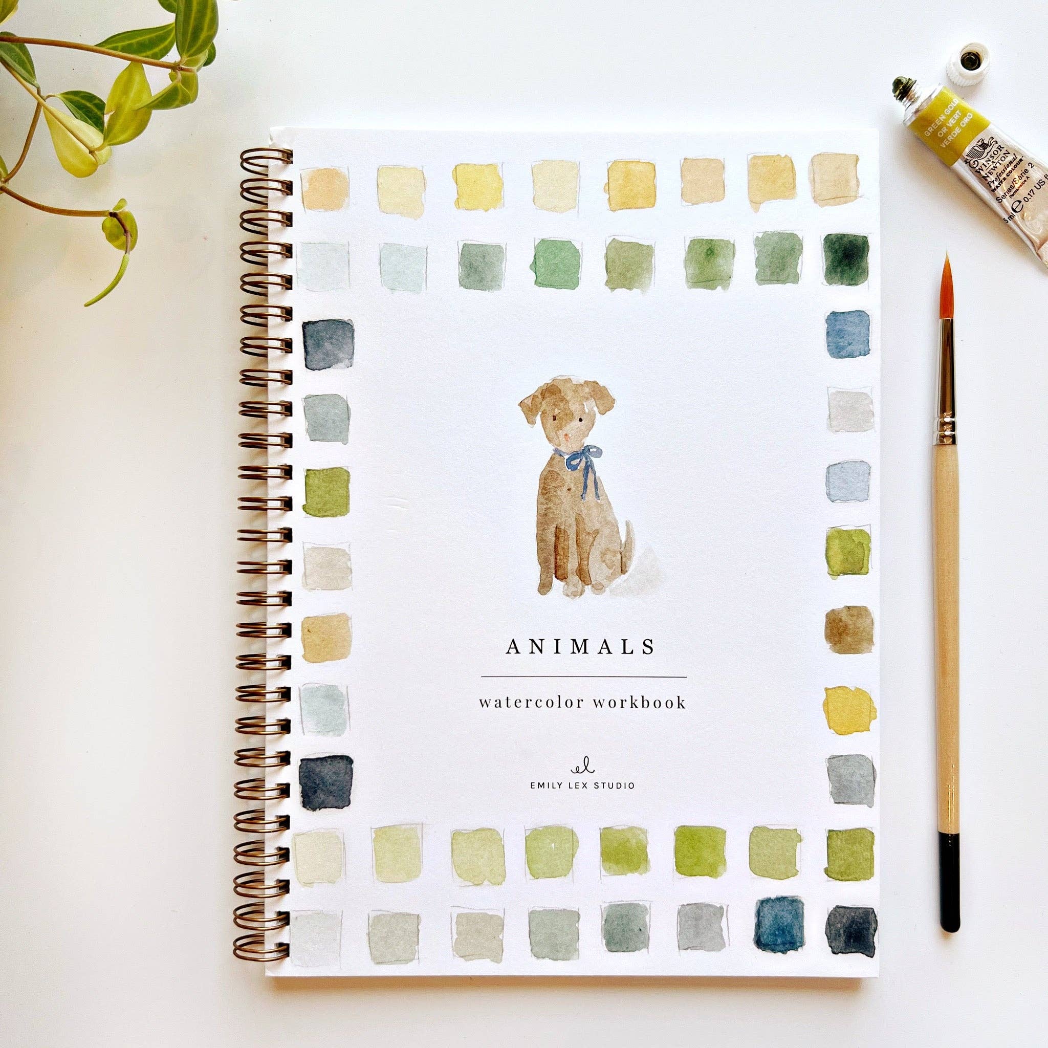 emily lex studio - Animals watercolor workbook - The Look and Co