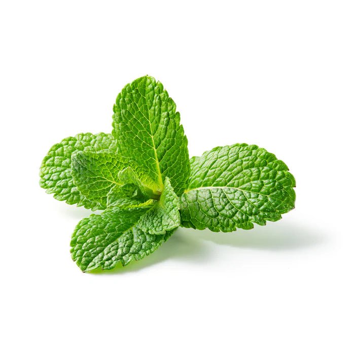 Essential Oxygen On-Demand Tooth Polish | Peppermint - The Look and Co