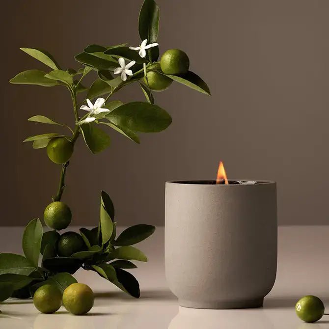 Homecourt - Signature Candle | Half Case - The Look and Co