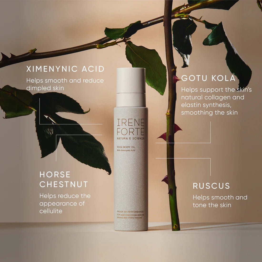 Irene Forte Skincare Rose Body Oil - The Look and Co