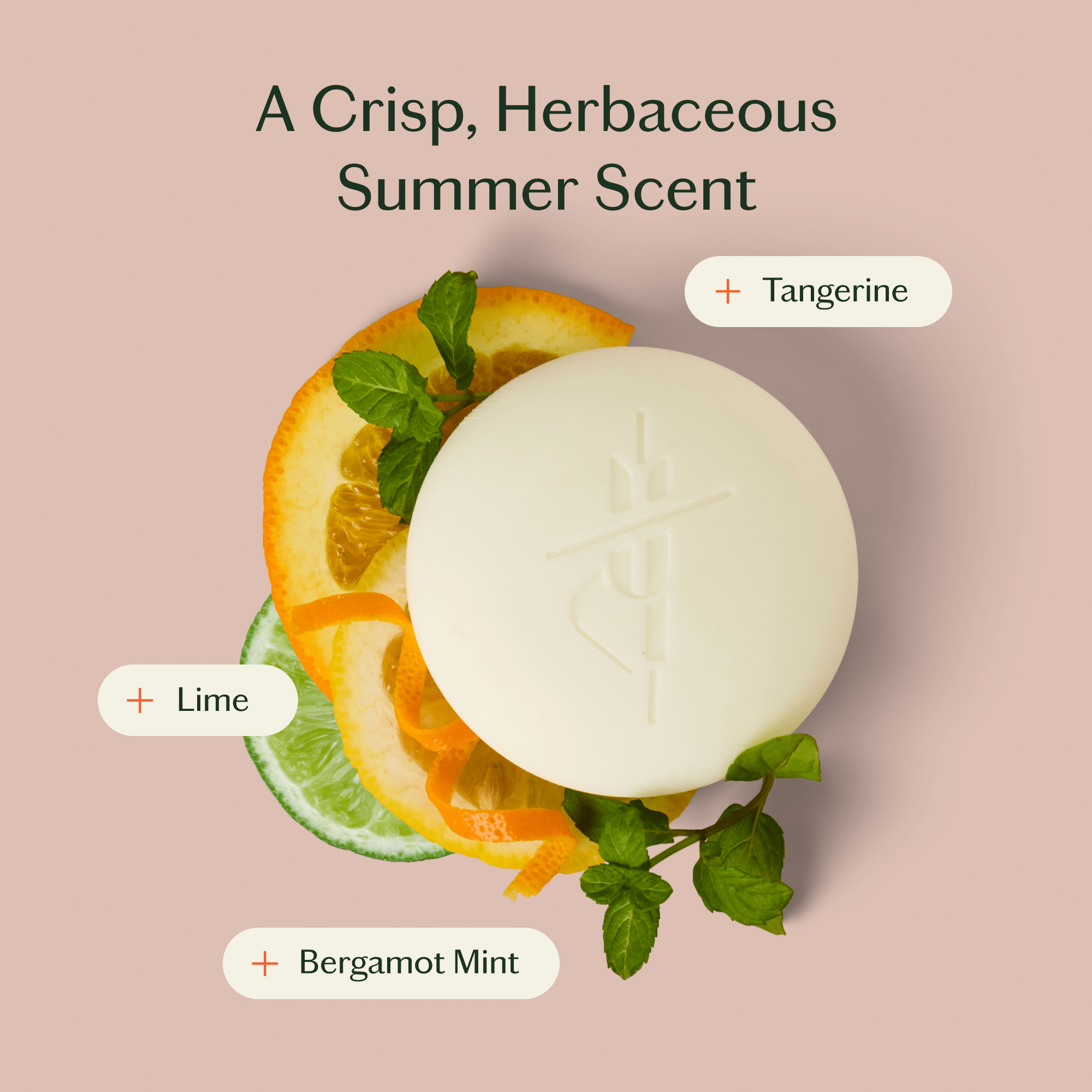 Kate McLeod - Bergamot Mint | Deep Moisturizing Lotion Bar - The Look and Co