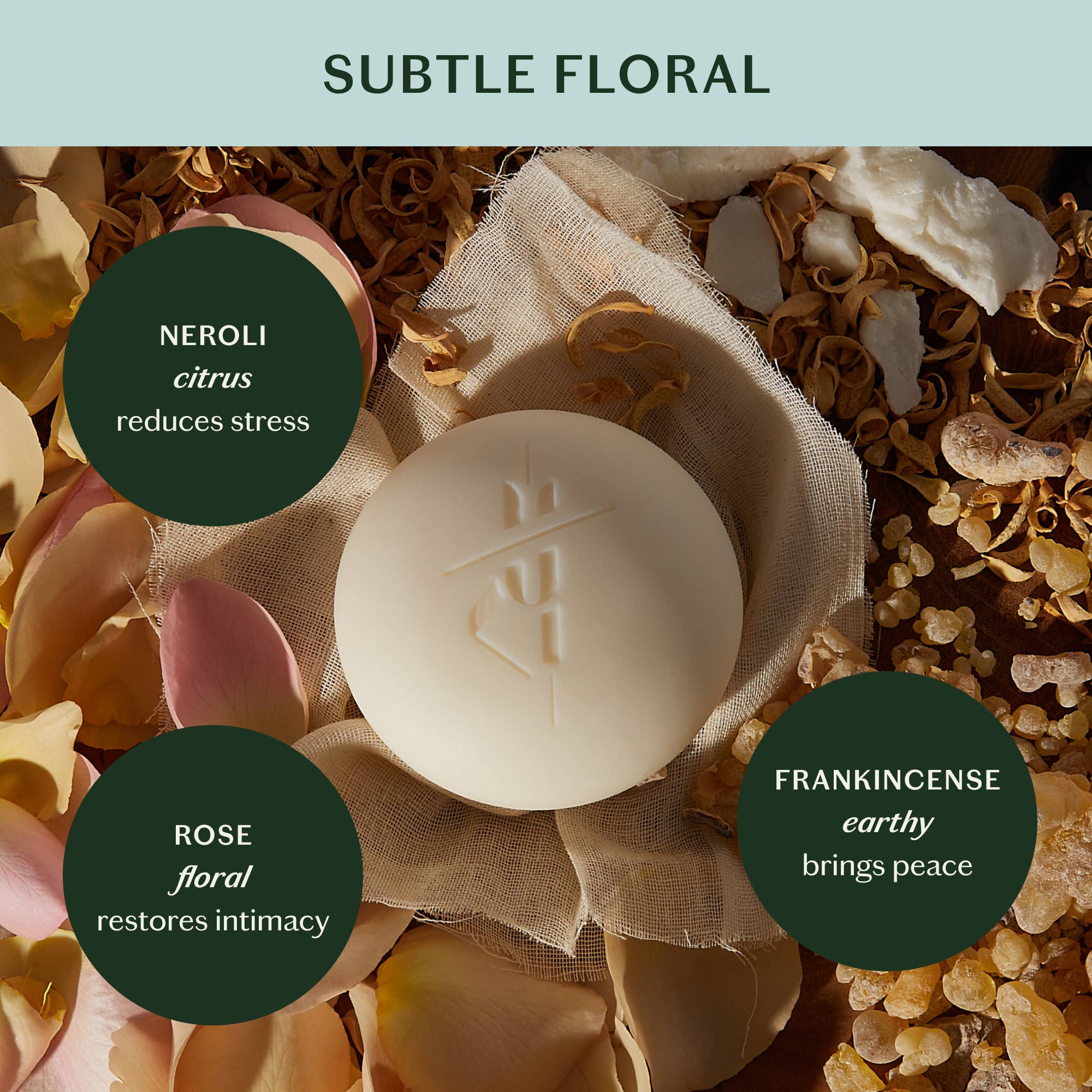 Kate McLeod - Daily Stone | Deep Moisturizing Lotion Bar - The Look and Co