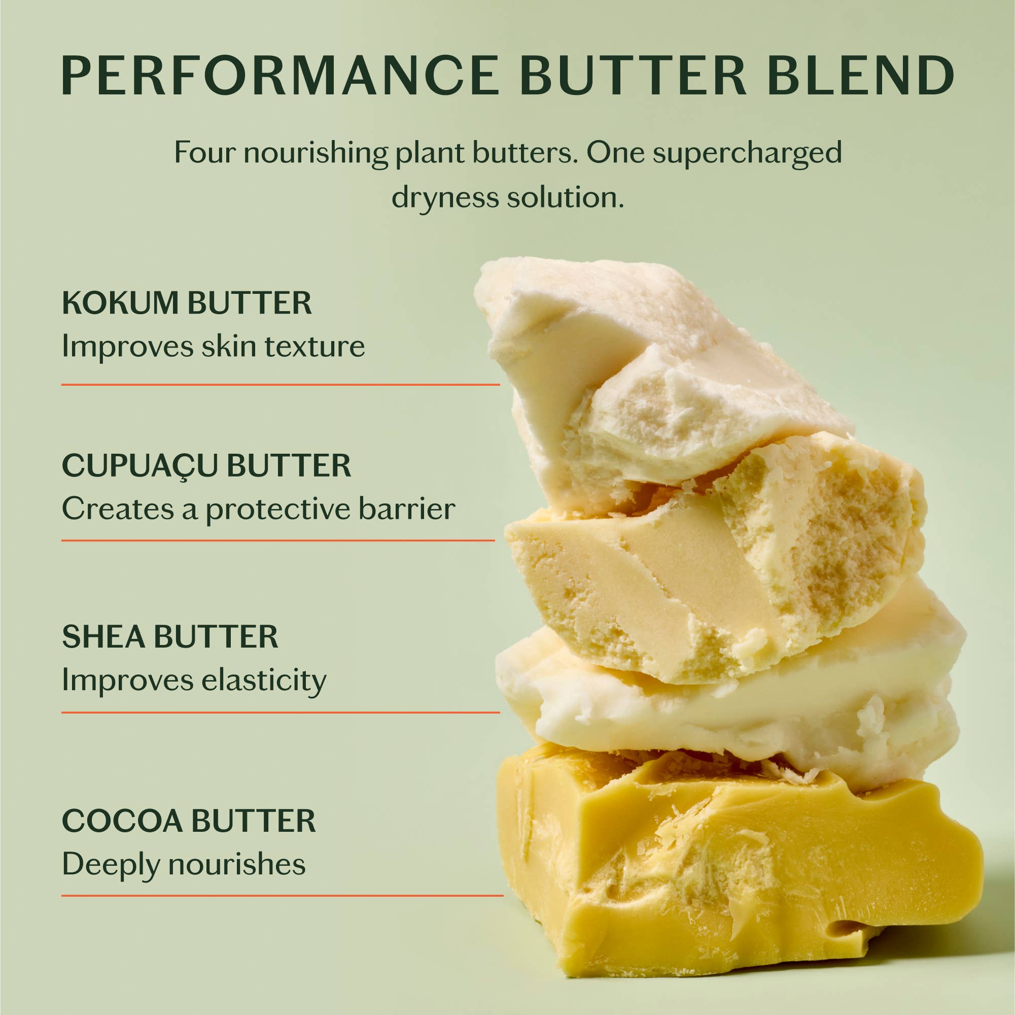 Kate McLeod - The Everywhere Stick - The Look and Co