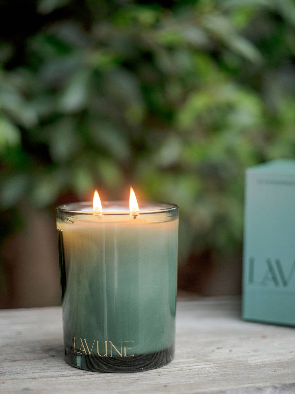 Lavune - N˚05 Evergreen - 20oz. - The Look and Co
