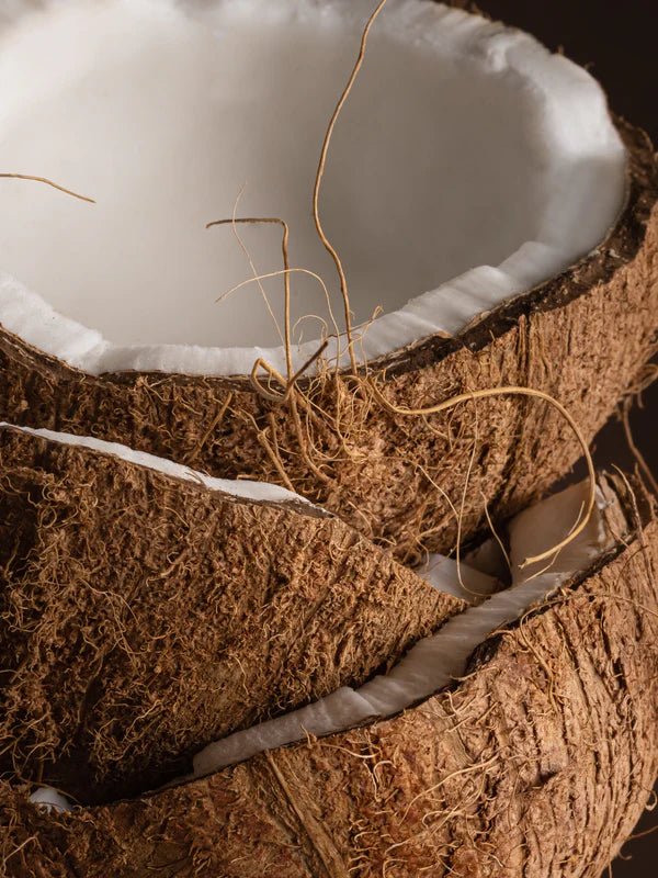 Pura Coconut Calm – Smart Vial (Becki Owens) - The Look and Co