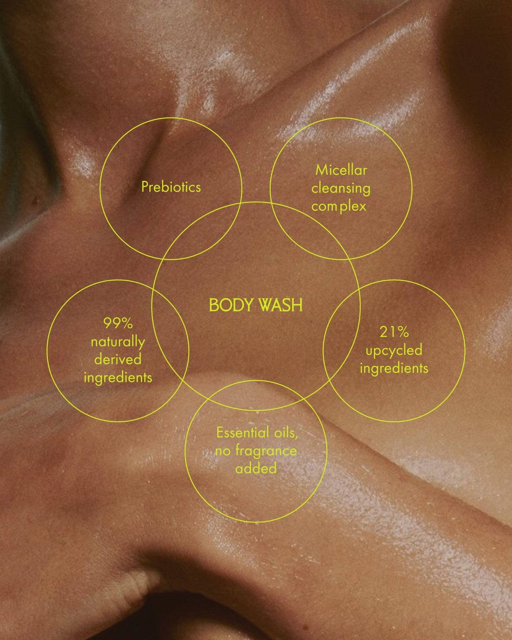 Sans Savon - Body Wash, Charlevoix Boreal Forest Blend (500ml) - The Look and Co