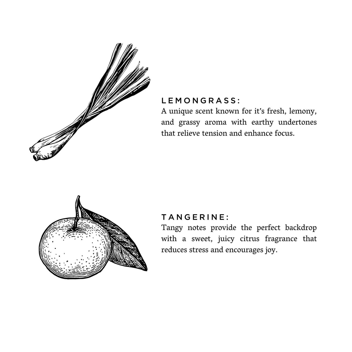 Slow North - Lemongrass + Tangerine - Non-Toxic Candle, Essential Oils - The Look and Co