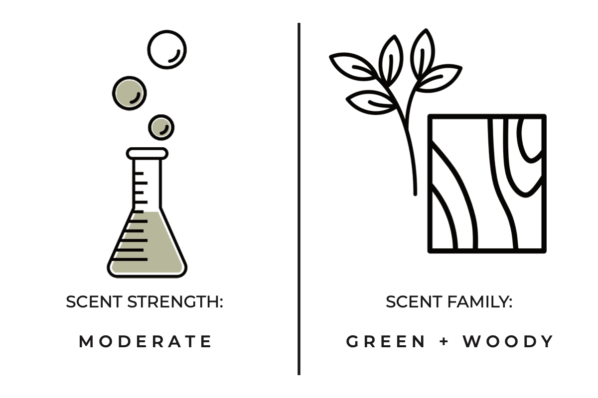 True Hue - Balsam Frost Candle - The Look and Co