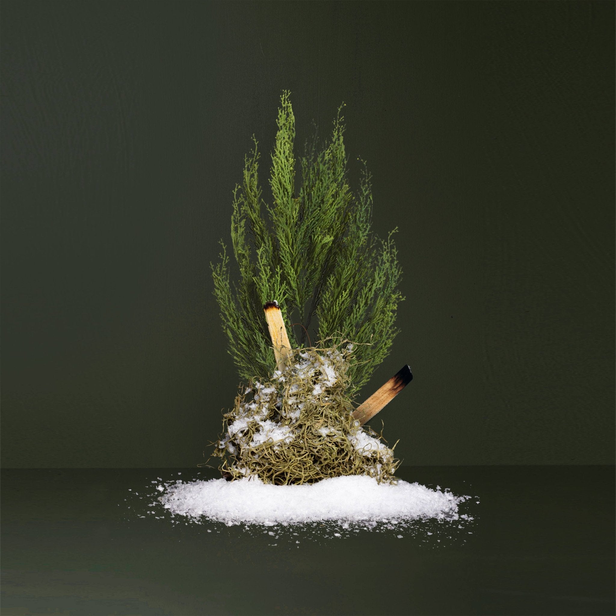 True Hue - Balsam Frost Candle - The Look and Co