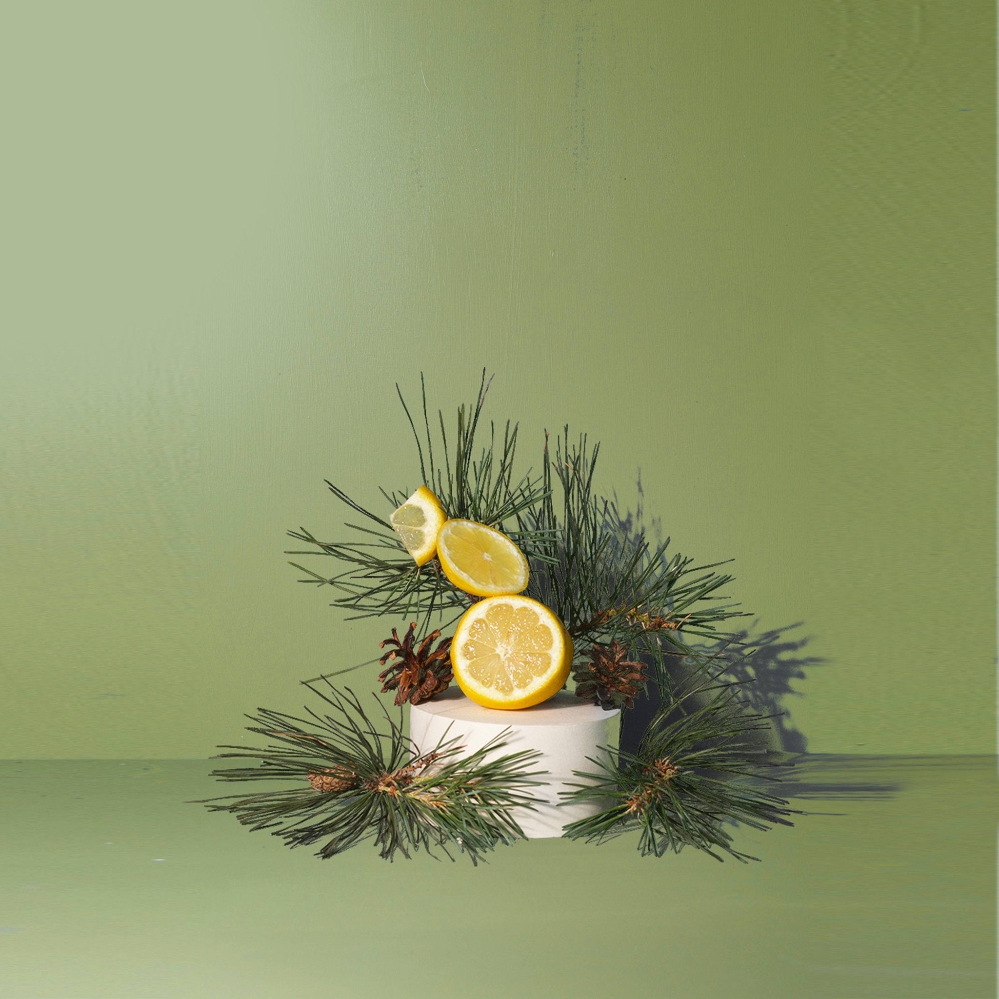 True Hue - Fir Needle Candle - The Look and Co