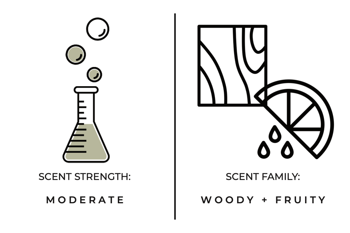 True Hue - Stargazing Candle - The Look and Co