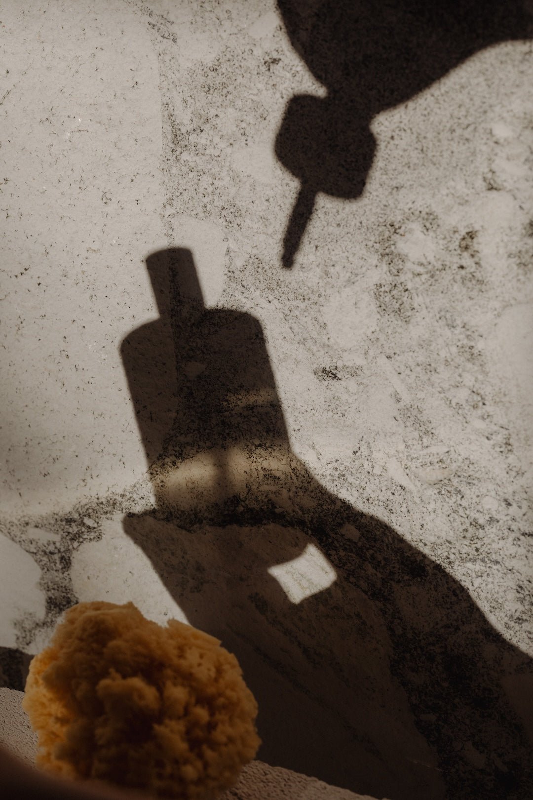 Serums & Oils - The Look and Co