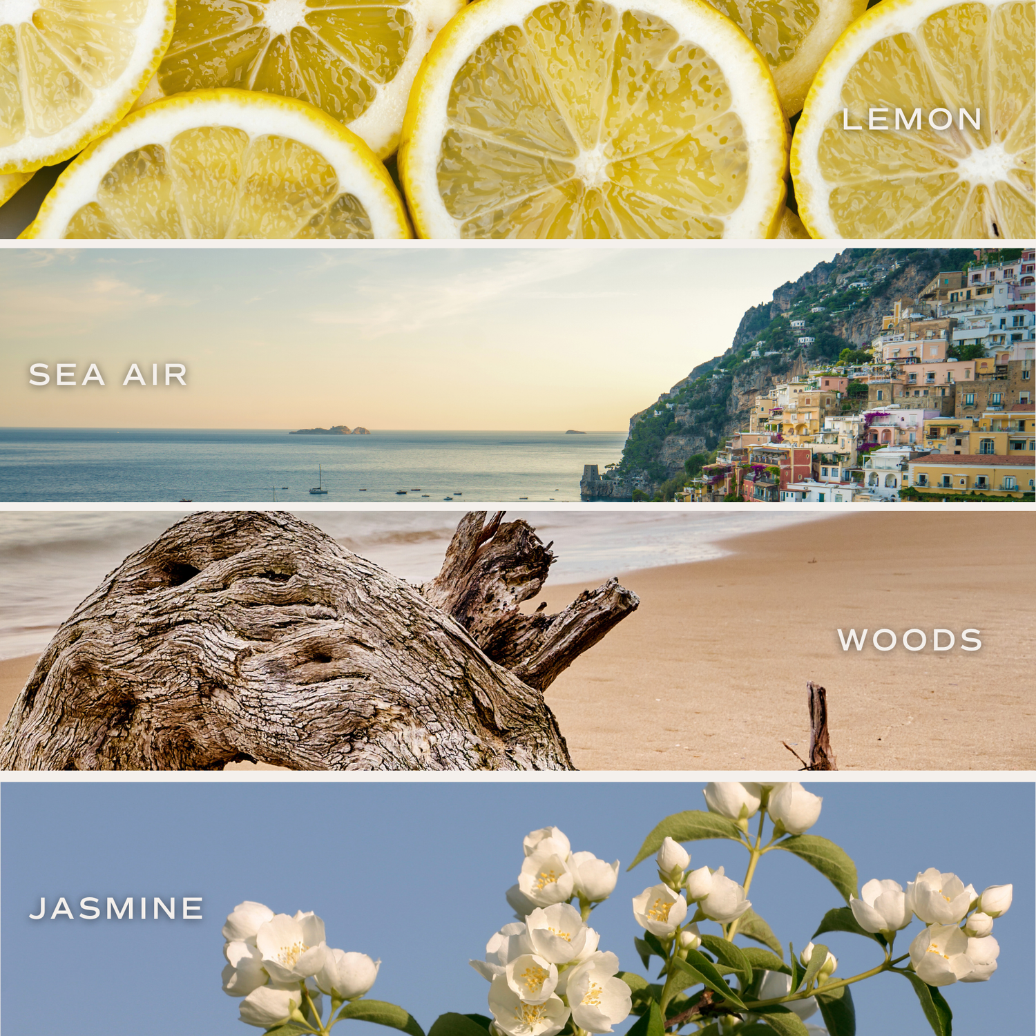 Sweet Water Decor - Coastal Lemon 11 oz Soy Candle - Home Decor &amp; Gifts