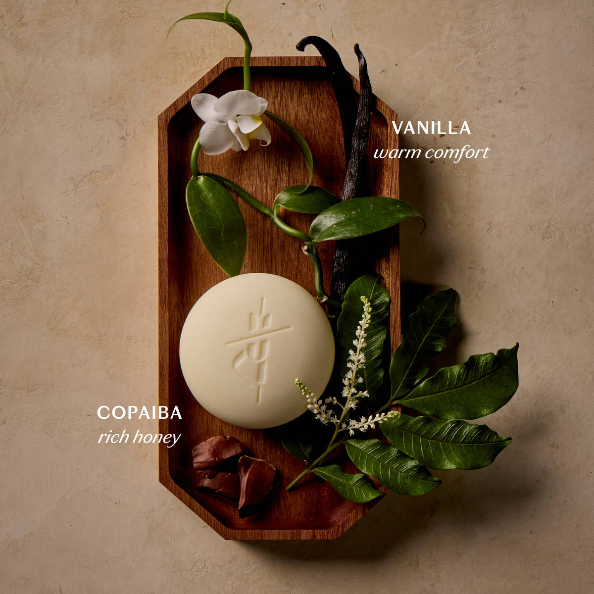 Kate McLeod - Vanilla &amp; Copaiba | Deep Moisturizing Lotion Bar