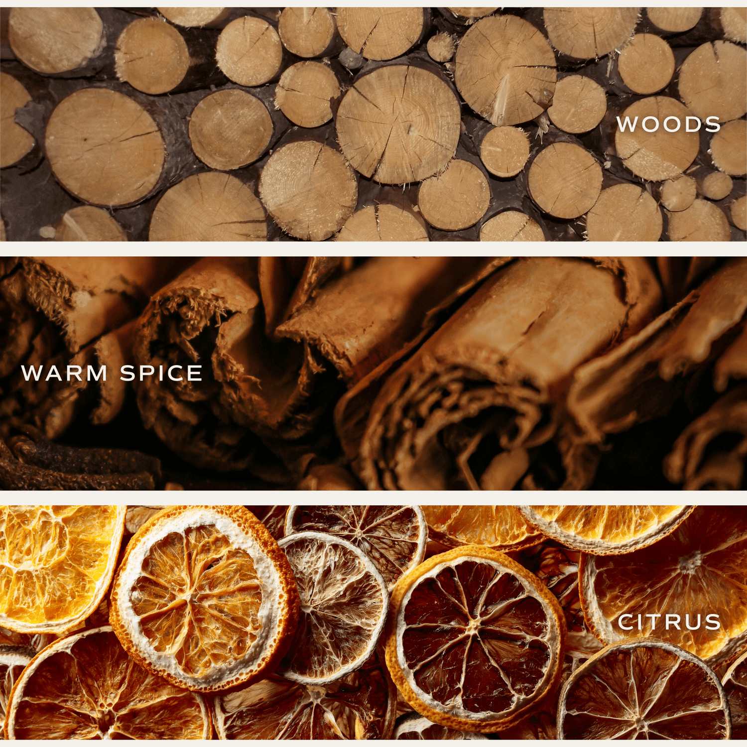 Sweet Water Decor - *NEW* Cozy Season 12 oz Boxed Soy Candle - Fall Decor &amp; Gift