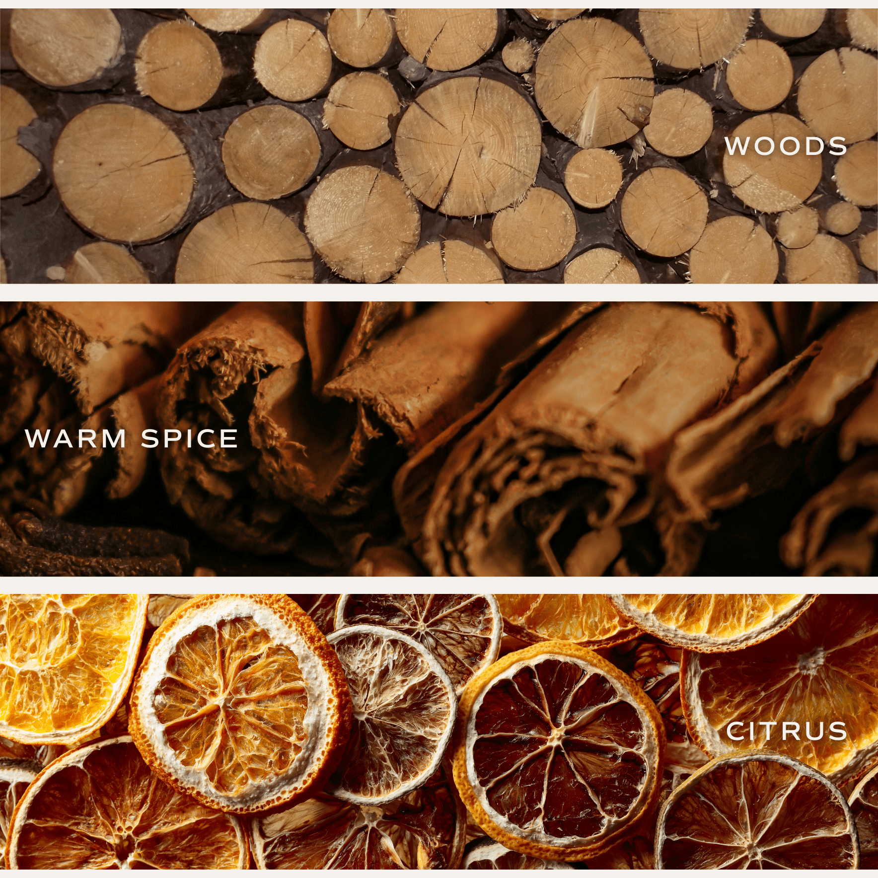 Sweet Water Decor - *NEW* Cozy Season 12 oz Boxed Soy Candle - Fall Decor &amp; Gift