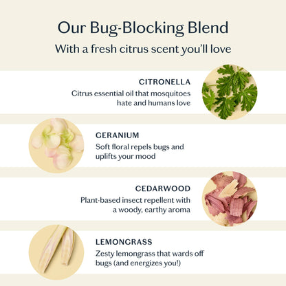Kate McLeod - The Bug Balm | Lotion Bar