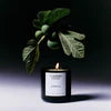 Flamingo Estate Sappho Fig Candle