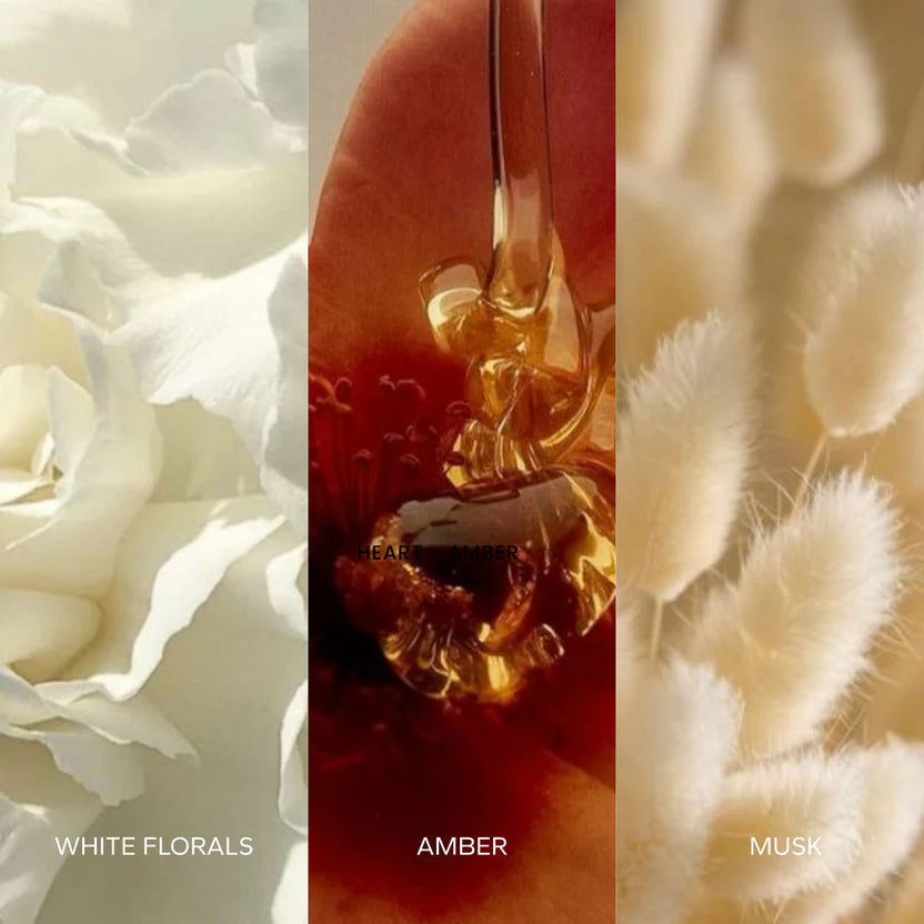 Layermor Amal | The Discovery Parfum