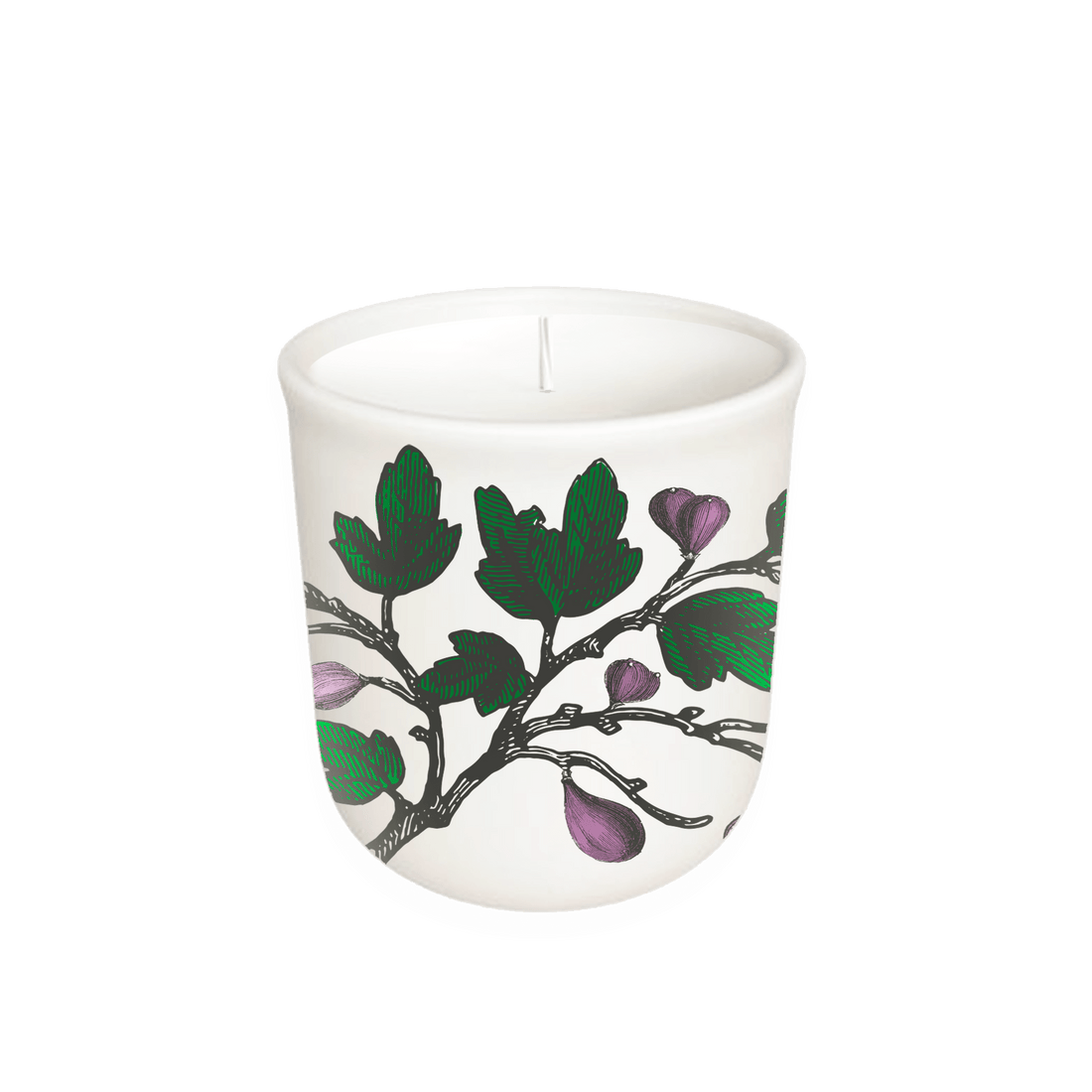 Annapolis Candle - Fig Tree - Terrace Collection Candle - The Look and Co