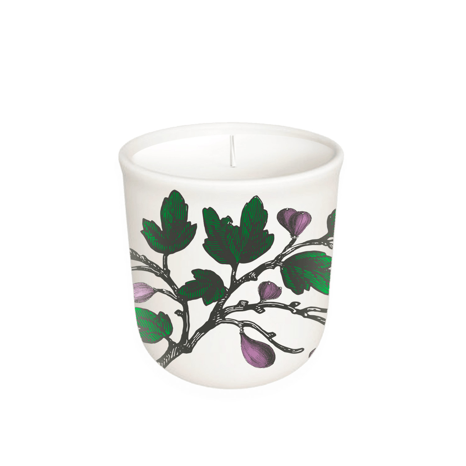 Annapolis Candle - Fig Tree - Terrace Collection Candle - The Look and Co