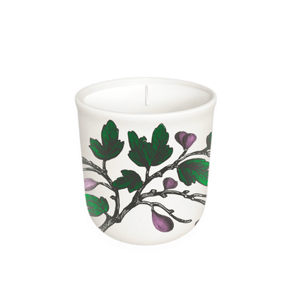 Annapolis Candle - Fig Tree - Terrace Collection Candle - The Look and Co