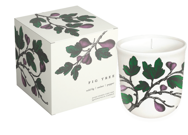 Annapolis Candle - Fig Tree - Terrace Collection Candle - The Look and Co