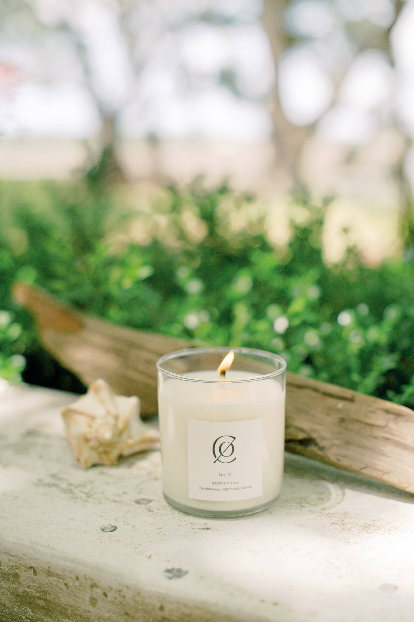 Charleston Candle Co. - No. 01 Botany Bay Soy Candle - The Look and Co