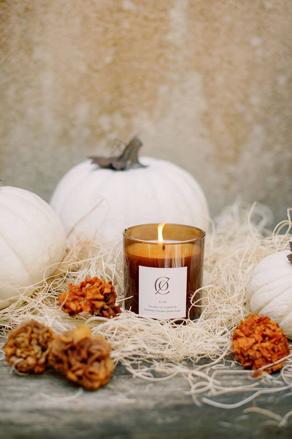 Charleston Candle Co. - S. 06 Palmetto Pumpkin Soy Candle - The Look and Co