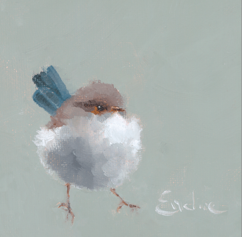 Emeline Watchorn - Greetings Card - BD019 Fluffy Fairy Wren 4x4 - The Look and Co