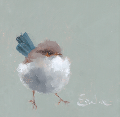 Emeline Watchorn - Greetings Card - BD019 Fluffy Fairy Wren 4x4 - The Look and Co