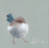 Emeline Watchorn - Greetings Card - BD019 Fluffy Fairy Wren 4x4 - The Look and Co