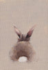 Emeline Watchorn - Greetings Card - BN003 Big Bunny 6x4 - The Look and Co