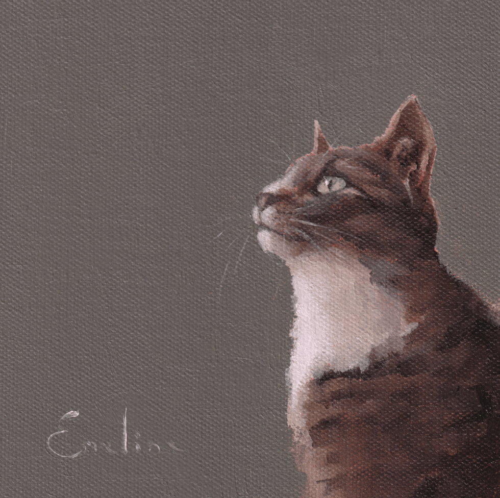Emeline Watchorn - Greetings Card - CT002 Tabby Cat 6x6 - The Look and Co