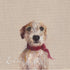 Emeline Watchorn - Greetings Card - DS032 Bowie 4x4 - The Look and Co