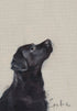Emeline Watchorn - Greetings Card - DS036 True Love 5x7 - The Look and Co