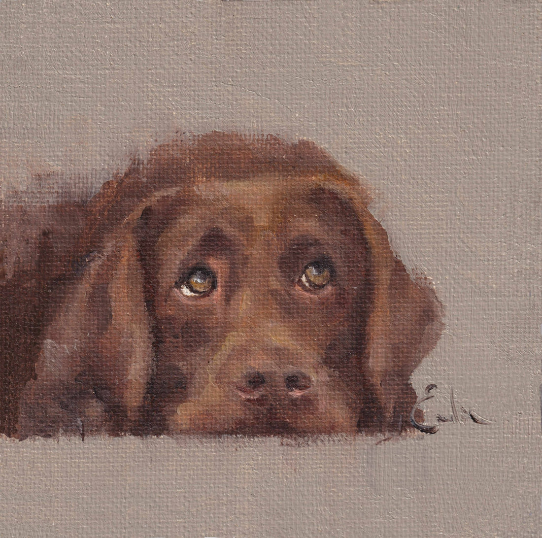 Emeline Watchorn - Greetings Card - DS046 Chocolate 6x6 - The Look and Co