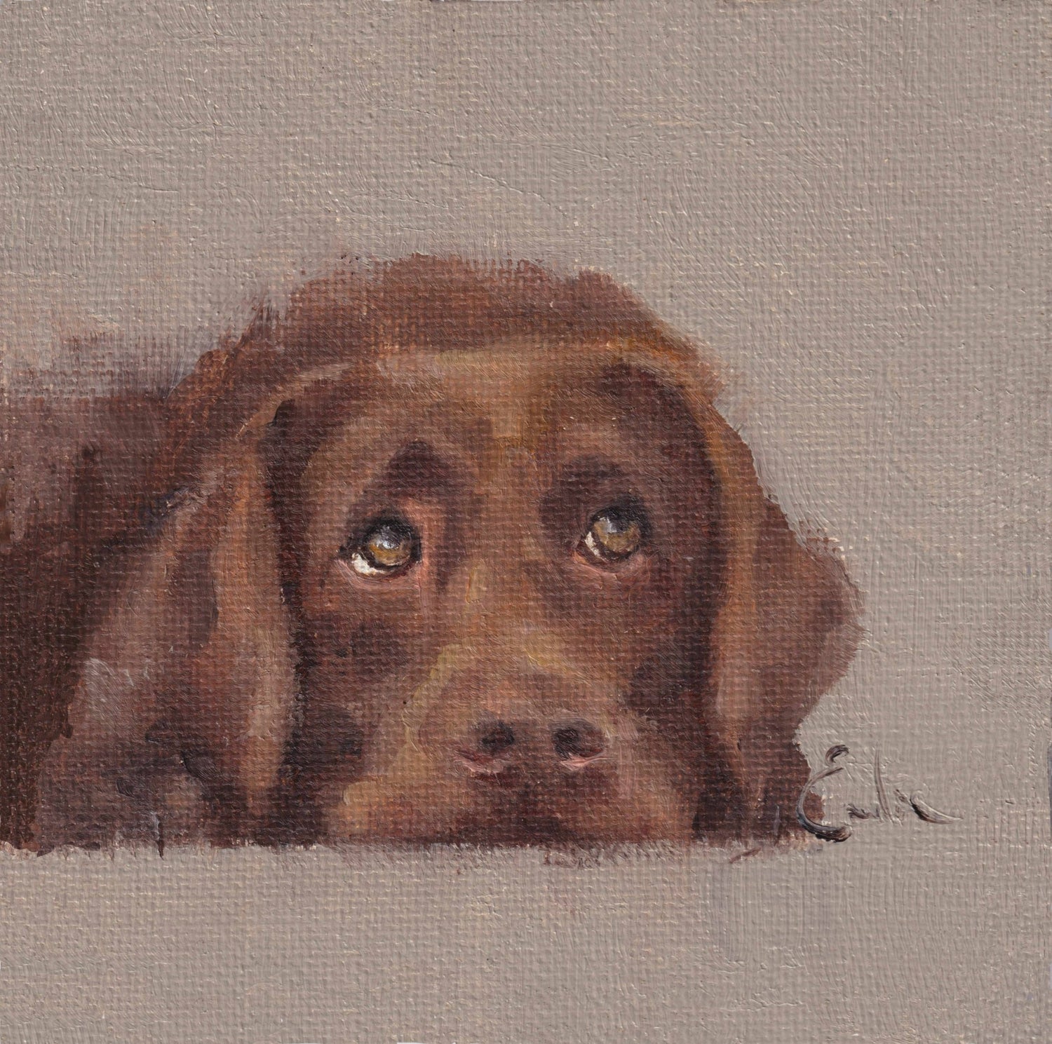Emeline Watchorn - Greetings Card - DS046 Chocolate 6x6 - The Look and Co