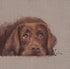 Emeline Watchorn - Greetings Card - DS046 Chocolate 6x6 - The Look and Co