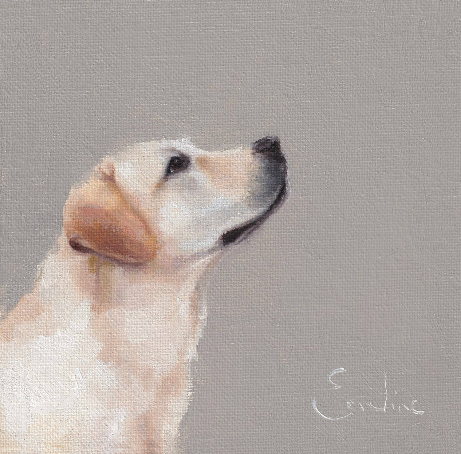 Emeline Watchorn - Greetings Card - DS047 Loyalty 6x6 - The Look and Co